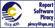 Report Software Piracy