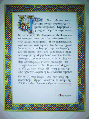 Baroness' Degree of Elegance for Donnchadh mac Ceadach